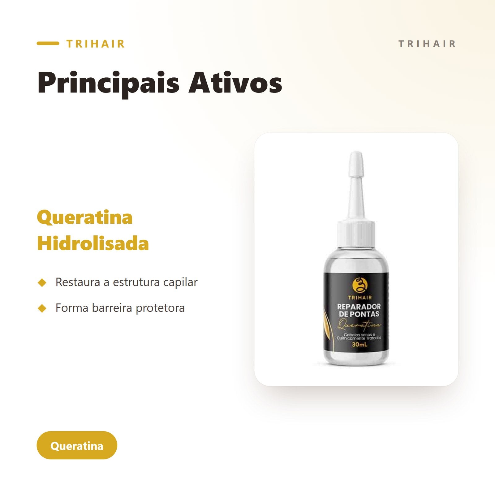 Ativos