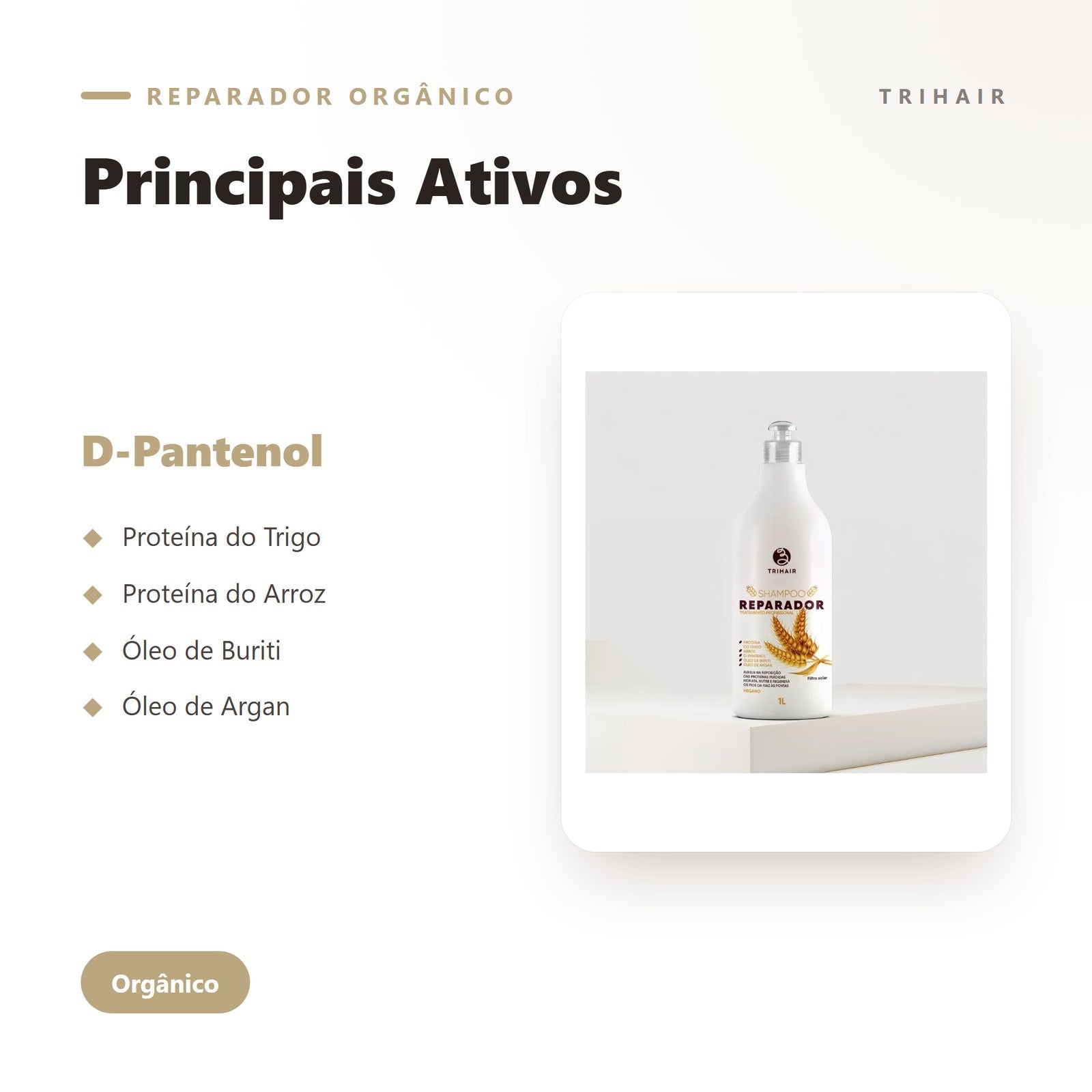 Ativos