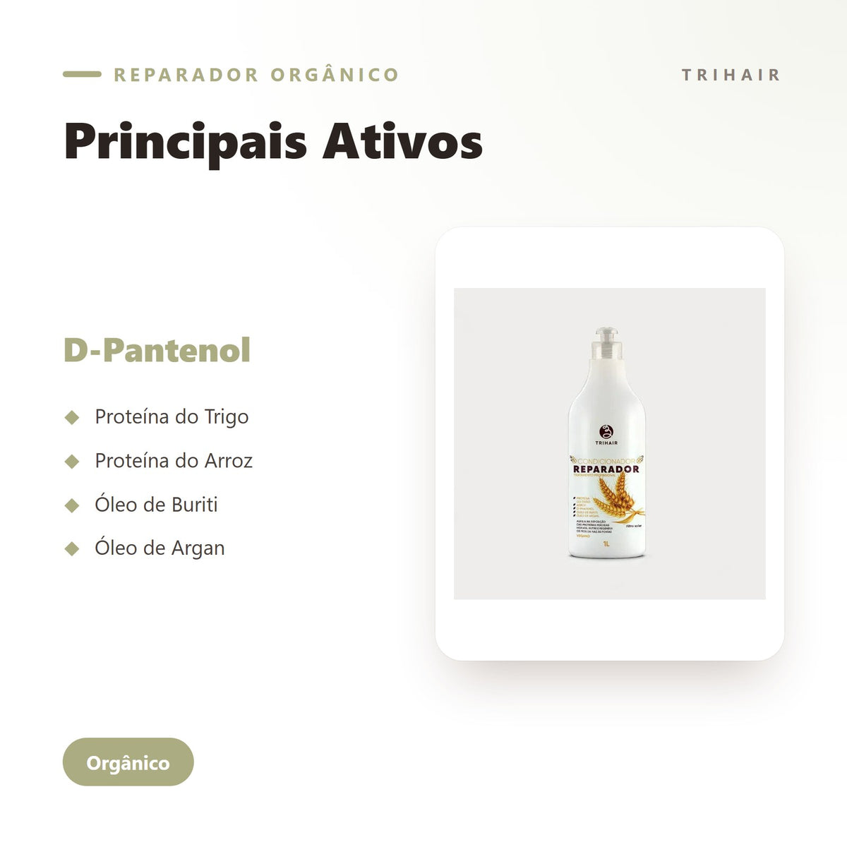 Ativos