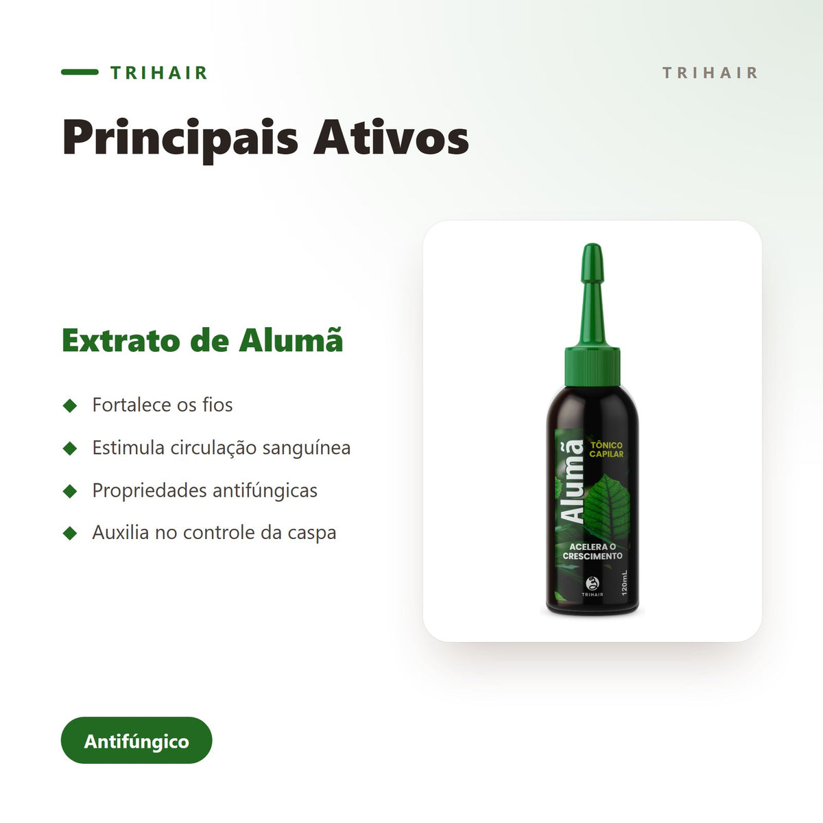 Ativos