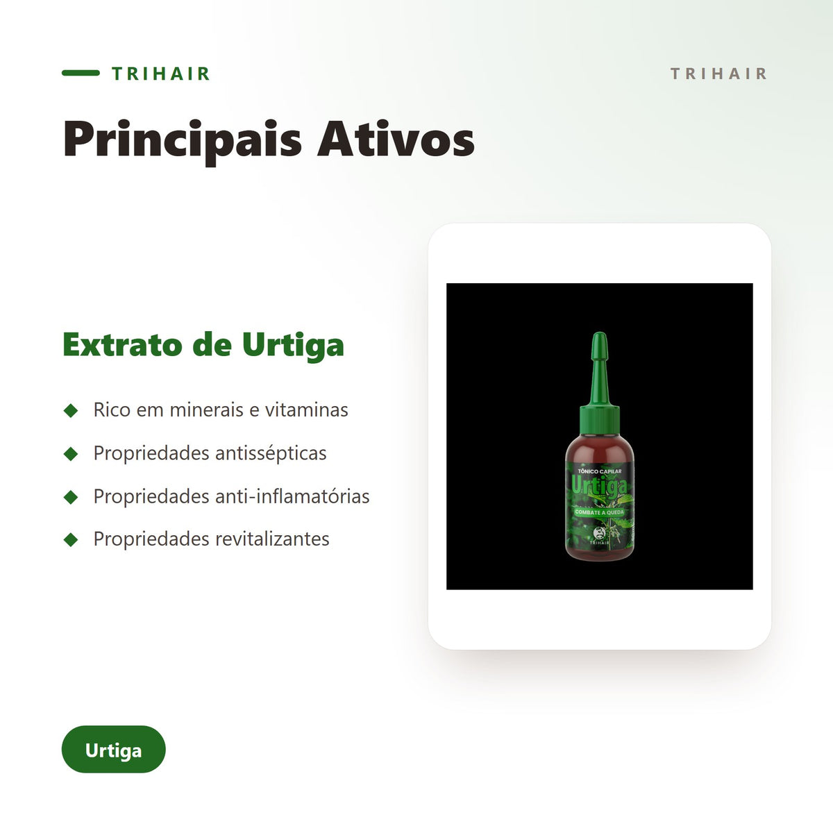 Ativos