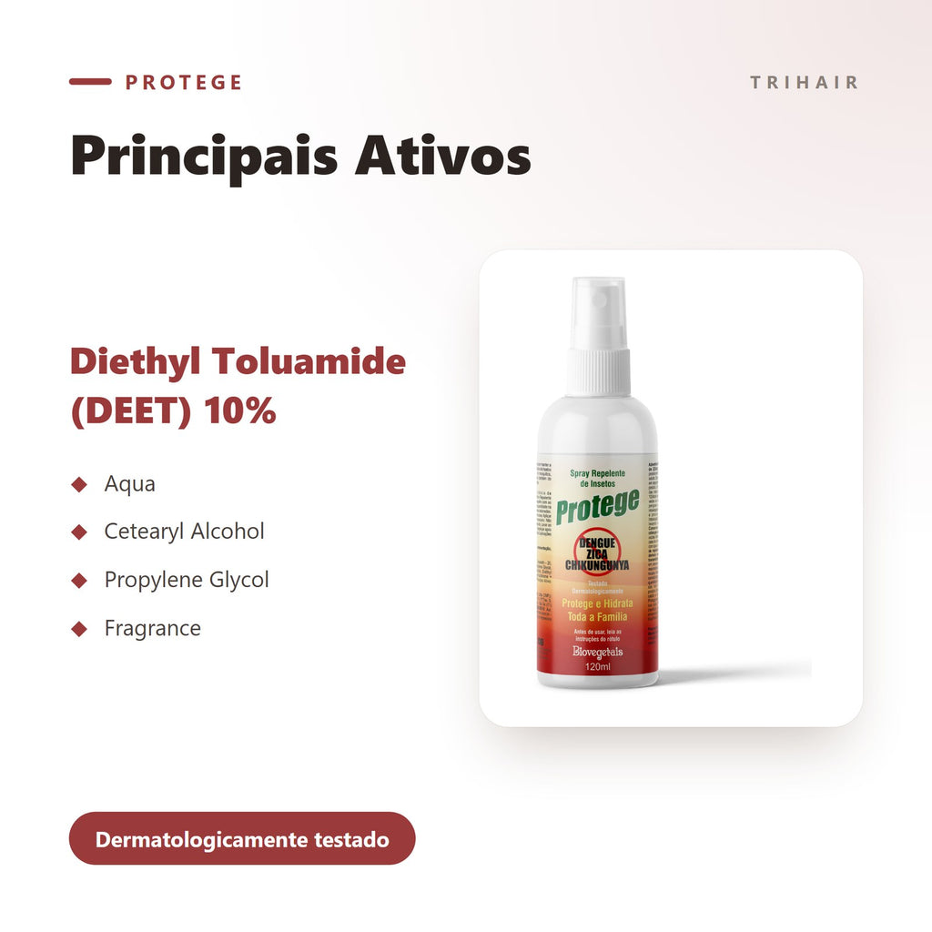 Ativos