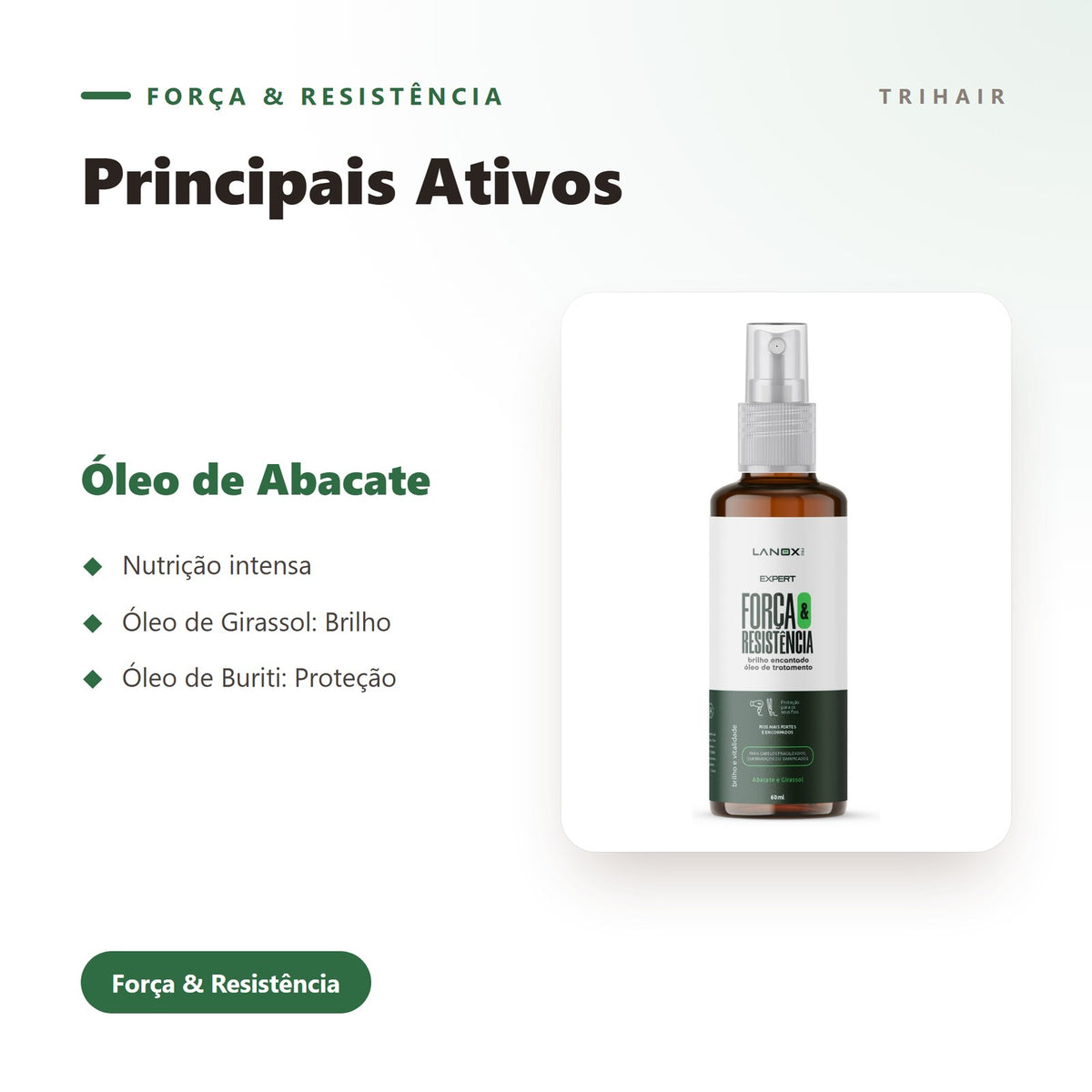 Ativos