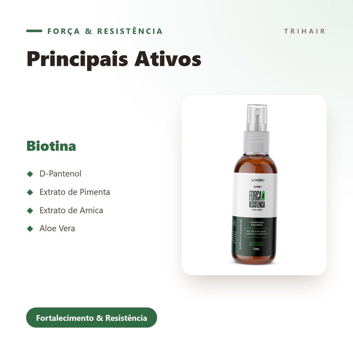 Ativos