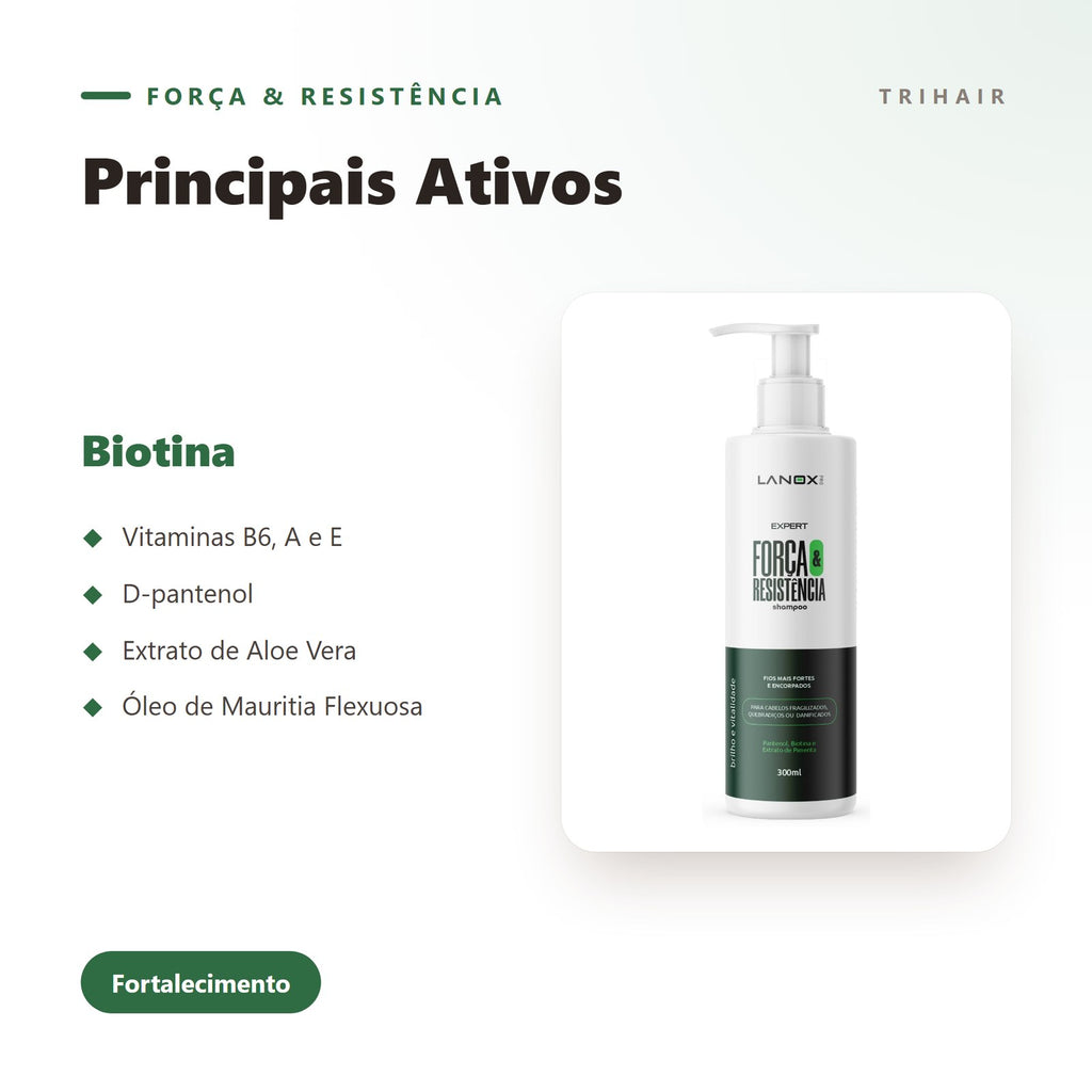 Ativos