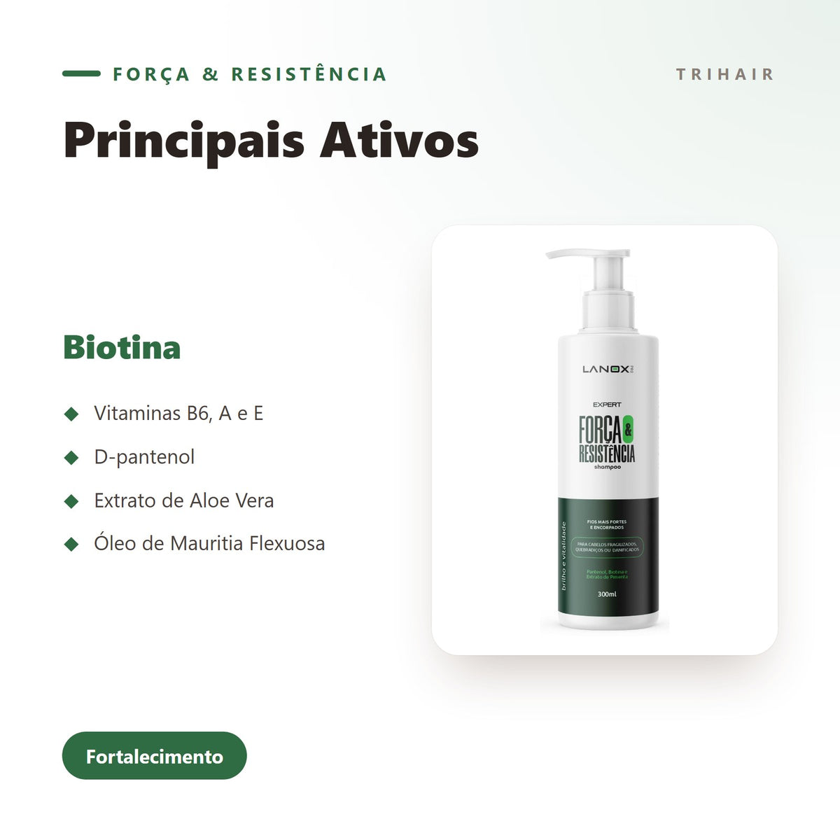 Ativos