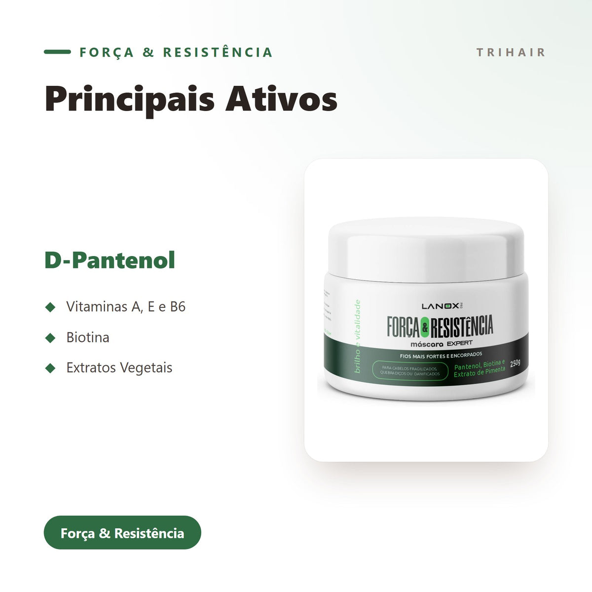 Ativos