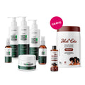 Linha Completa Força e Resistência Lanox com Mel Cola e Óleo Mel Natural