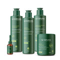 Linha Completa 12 Ervas Tonificante 500ml com Loção 60ml